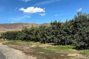 539 S Webb Ave, East Wenatchee, WA 98802 - Photo 1