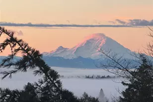 6845 52nd Ave NE, Seattle, WA 98115 - Photo 1