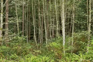 4757 Whale Pass Way, Langley, WA 98260 - Photo 1