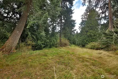 4773 Whale Pass Way, Langley, WA 98260 - Photo 1