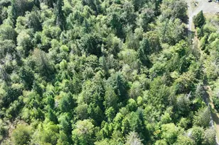 0 E Eagle Vista Dr, Belfair, WA 98528 - Photo 1