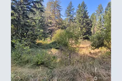 33118 68th Avenue S, Roy, WA 98580 - Photo 1