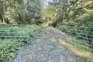 282 Butte Creek Rd, Raymond, WA 98577 - Photo 1