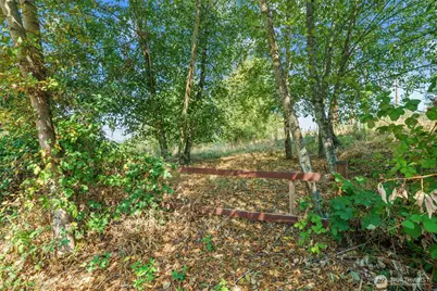 1111 124th Avenue NE, Woodinville, WA 98072 - Photo 1