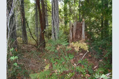 0 Belgian, Brinnon, WA 98320 - Photo 1