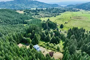 53 Ingalls Rd, Skamokawa Valley, WA 98647 - Photo 1