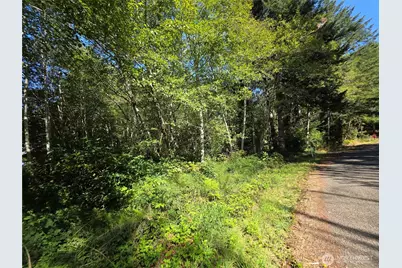 0 Cedar Place, Elma, WA 98541 - Photo 1