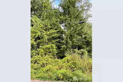 0 (Lot 1) SE Spring Creek Road, Port Orchard, WA 98367 - Photo 1