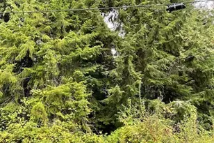 0 (Lot 1) SE Spring Creek Rd, Port Orchard, WA 98367 - Photo 1