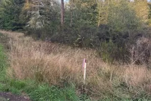 52 Moonkist Terrace, Sequim, WA 98382 - Photo 1