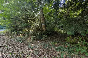 41664 N Shore Ln, Concrete, WA 98237 - Photo 1