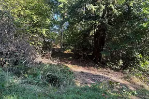 41 E Soundview Dr, Shelton, WA 98584 - Photo 1