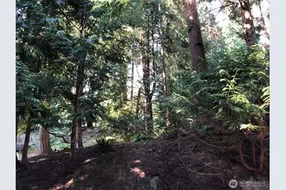 16 Ridge Crest Way, Bellingham, WA 98229 - Photo 1