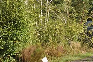 112 E Olympic View Dr, Belfair, WA 98528 - Photo 1