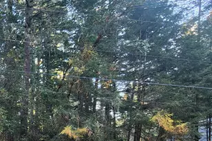 9309 114th Ave Ct, Anderson Island, WA 98303 - Photo 1