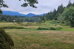 50 Lake Leland Cut-Off Rd, Quilcene, WA 98376 - Photo 1