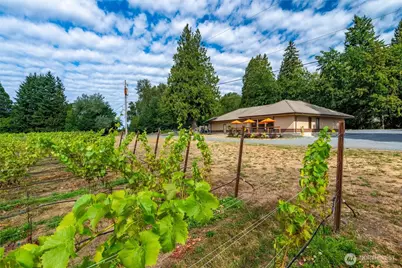 4290 Mt Baker Highway, Everson, WA 98247 - Photo 1