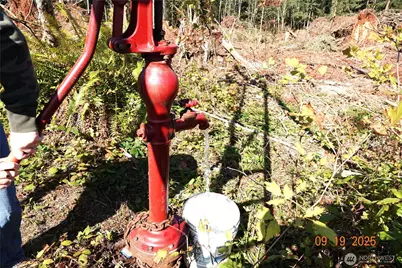 15829 456th Street E, Eatonville, WA 98328 - Photo 1