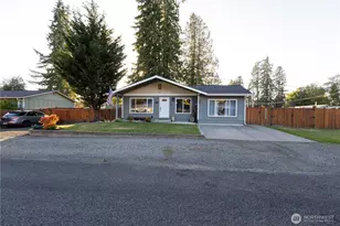 135 Wildcat Dr, McCleary, WA 98557 - Photo 1