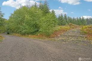 374 Bellwood Dr, Castle Rock, WA 98611 - Photo 1