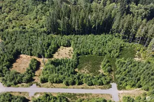 9999 King Johns-Lot 4 Ravens Sp Way, Forks, WA 98331 - Photo 1