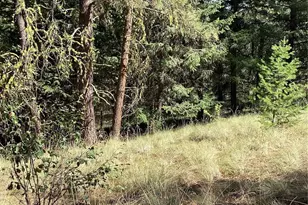 141 Lot Owl Rd, Tonasket, WA 98855 - Photo 1