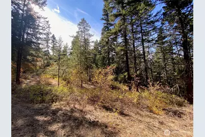 8888 Deer Creek Drive, Waterville, WA 98858 - Photo 1