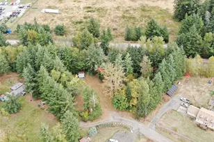 3684 Birch Terrace Dr, Custer, WA 98240 - Photo 1