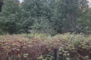 4828 Schwarzmiller Rd, Lake Stevens, WA 98258 - Photo 1