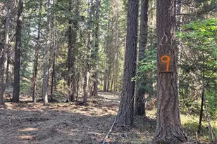 9 Double O Rd, Ronald, WA 98940 - Photo 1