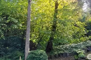 185 Xx 24th Pl NE, Lake Forest Park, WA 98155 - Photo 1