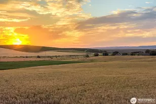 16 Bergevin Springs Pl, Walla Walla, WA 99362 - Photo 1