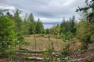 9999 Dusty Rd, Brinnon, WA 98320 - Photo 1