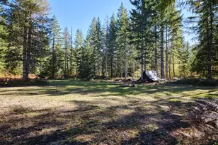 2 A Lahar Ln, Cougar, WA 98616 - Photo 1