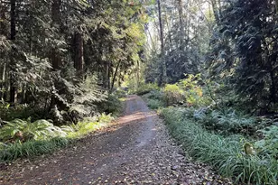 5249 Fallen Leaf Ln, Langley, WA 98260 - Photo 1