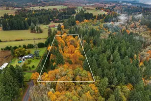 504 Telegraph Rd, Toledo, WA 98591 - Photo 1