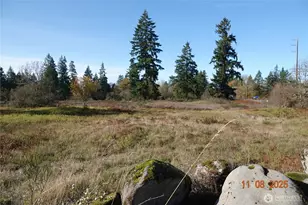 8416 State Route 702 S, Roy, WA 98580 - Photo 1