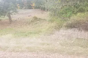 333 Grade St, Kelso, WA 98626 - Photo 1