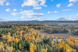 10918 288th St E, Graham, WA 98338 - Photo 1