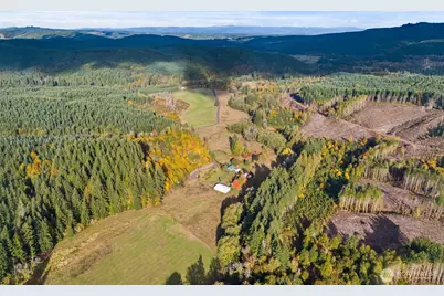 807 Allender Road, Ryderwood, WA 98581 - Photo 1