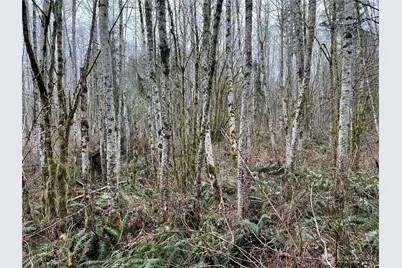 3 Xx Scenic Drive, Poulsbo, WA 98370 - Photo 1