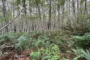 4 Xx Scenic Dr, Poulsbo, WA 98370 - Photo 1