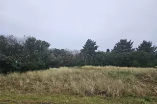 486 Moose Ct SW, Ocean Shores, WA 98569 - Photo 1