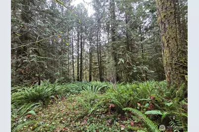 245 Cousins Road, Chehalis, WA 98532 - Photo 1