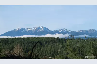 2180 NE Holly Dewatto Rd, Tahuya, WA 98588 - Photo 1