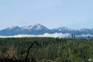 2180 NE Holly Dewatto Rd, Tahuya, WA 98588 - Photo 1