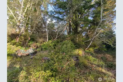 0 247th, Ocean Park, WA 98640 - Photo 1