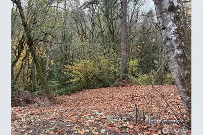 0 Maplewood Drive, Longview, WA 98632 - Photo 1