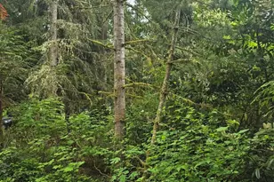 41 E Isabella, Belfair, WA 98528 - Photo 1