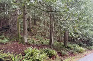 52 High Cliff Ln, Bellingham, WA 98229 - Photo 1